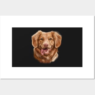 The Duck Tolling Retriever Posters and Art